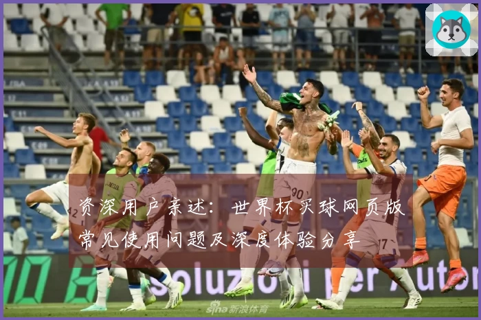 资深用户亲述：世界杯买球网页版常见使用问题及深度体验分享