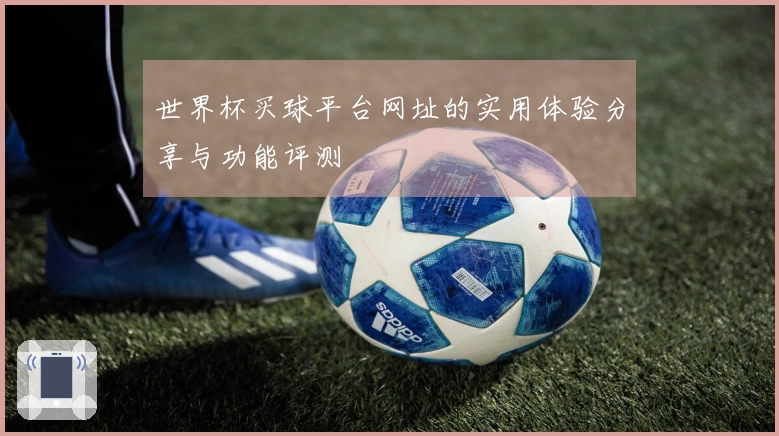 世界杯买球平台网址的实用体验分享与功能评测