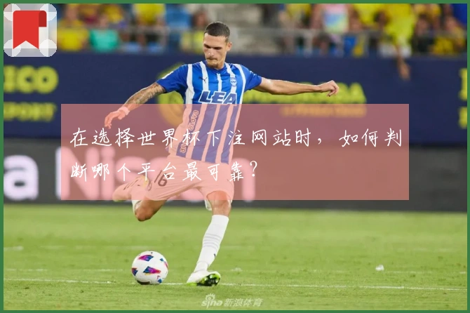 在选择世界杯下注网站时，如何判断哪个平台最可靠？
