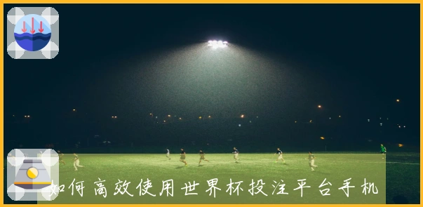 如何高效使用世界杯投注平台手机端进行体育直播和信息获取