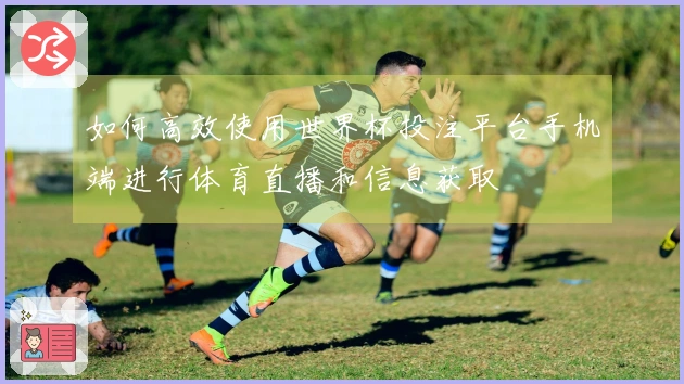 如何高效使用世界杯投注平台手机端进行体育直播和信息获取