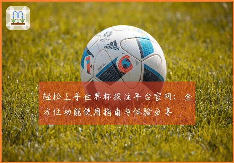 轻松上手世界杯投注平台官网:全方位功能使用指南与体验分享