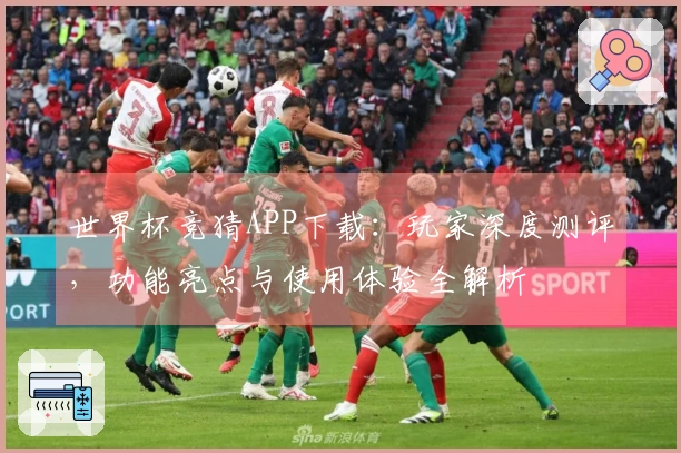 世界杯竞猜APP下载：玩家深度测评，功能亮点与使用体验全解析