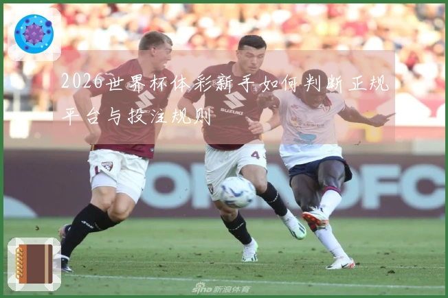 2026世界杯体彩新手如何判断正规平台与投注规则