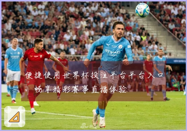 便捷使用世界杯投注平台平台入口，畅享精彩赛事直播体验