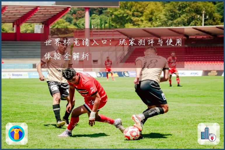 世界杯竞猜入口：玩家测评与使用体验全解析
