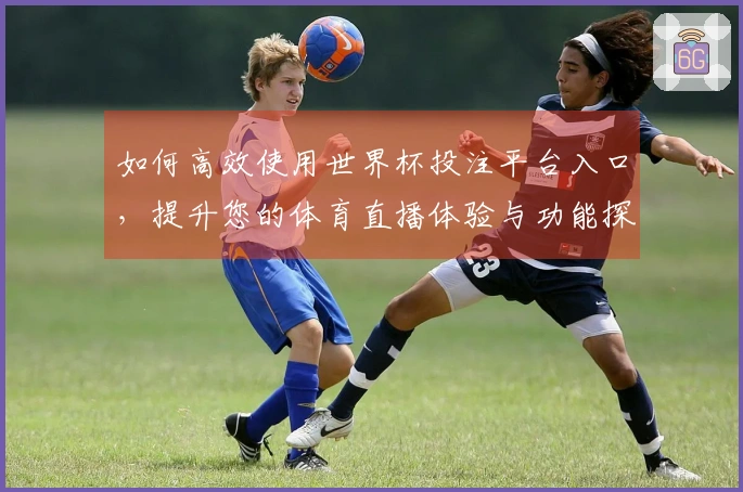 如何高效使用世界杯投注平台入口，提升您的体育直播体验与功能探索