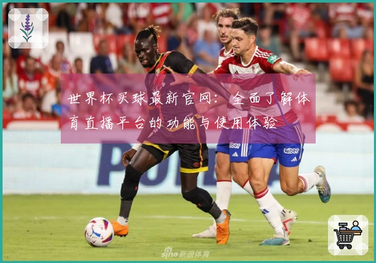 世界杯买球最新官网：全面了解体育直播平台的功能与使用体验