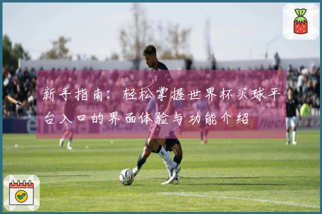 新手指南：轻松掌握世界杯买球平台入口的界面体验与功能介绍