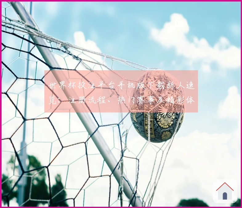 世界杯投注平台手机版下载新人速览：注册流程、热门赛事及精彩体验全指南