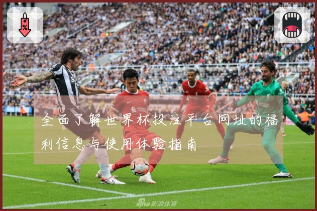 全面了解世界杯投注平台网址的福利信息与使用体验指南