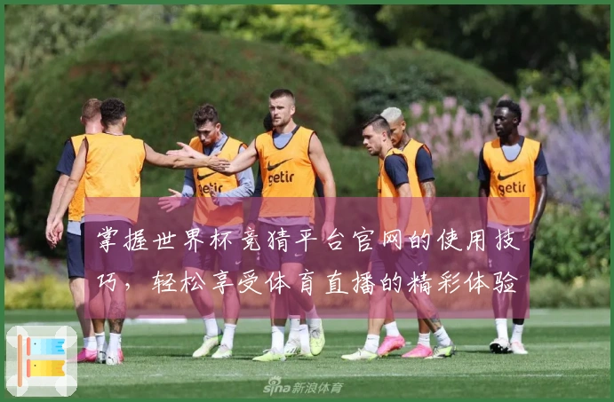 掌握世界杯竞猜平台官网的使用技巧，轻松享受体育直播的精彩体验