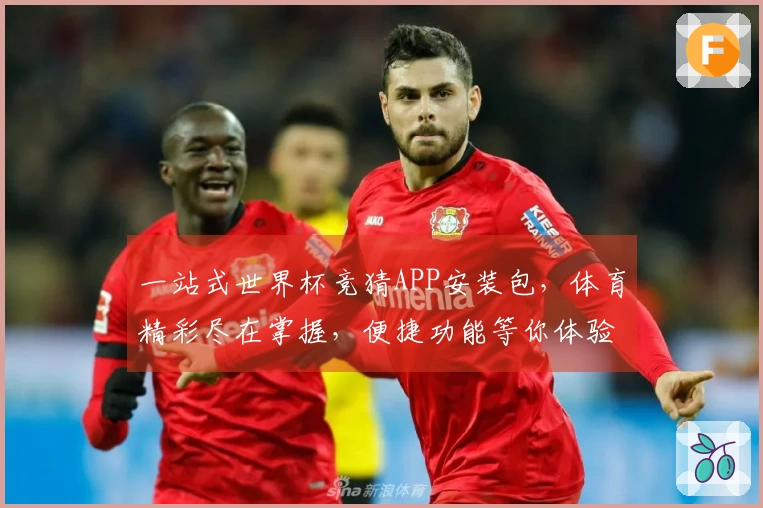 一站式世界杯竞猜APP安装包,体育精彩尽在掌握,便捷功能等你体验