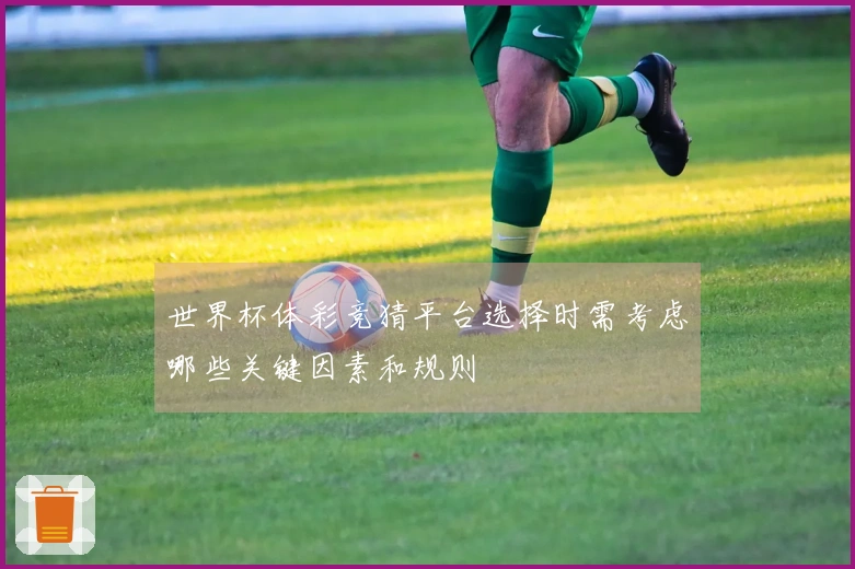世界杯体彩竞猜平台选择时需考虑哪些关键因素和规则