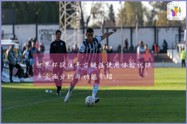 世界杯投注平台链接使用体验优缺点全面分析与功能介绍