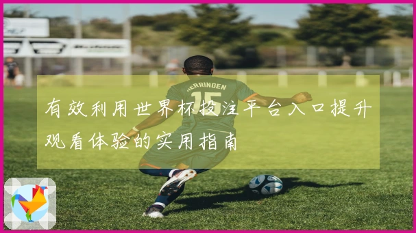 有效利用世界杯投注平台入口提升观看体验的实用指南