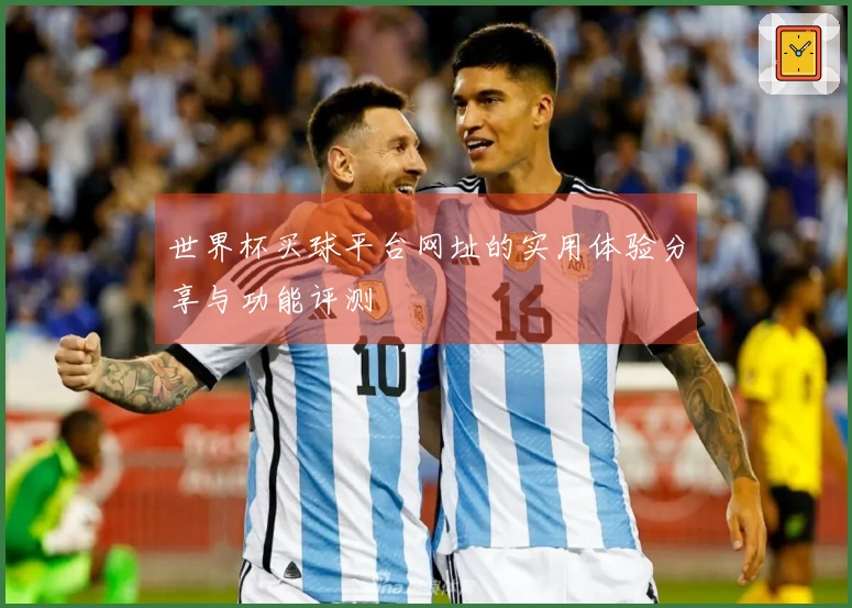 世界杯买球平台网址的实用体验分享与功能评测