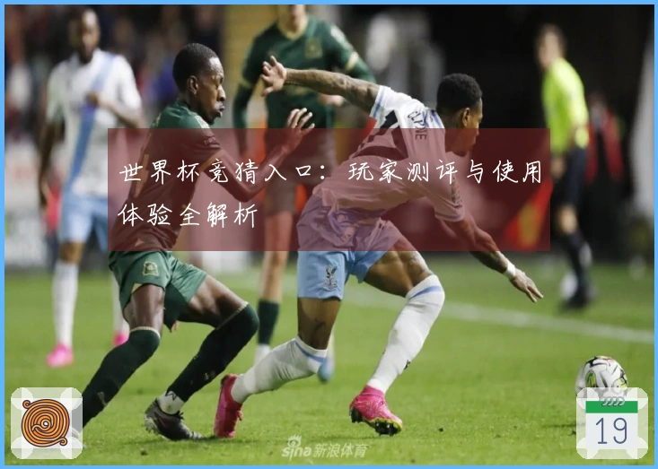 世界杯竞猜入口：玩家测评与使用体验全解析